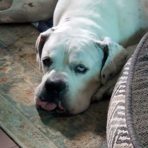 Meet your Posher, Marleny